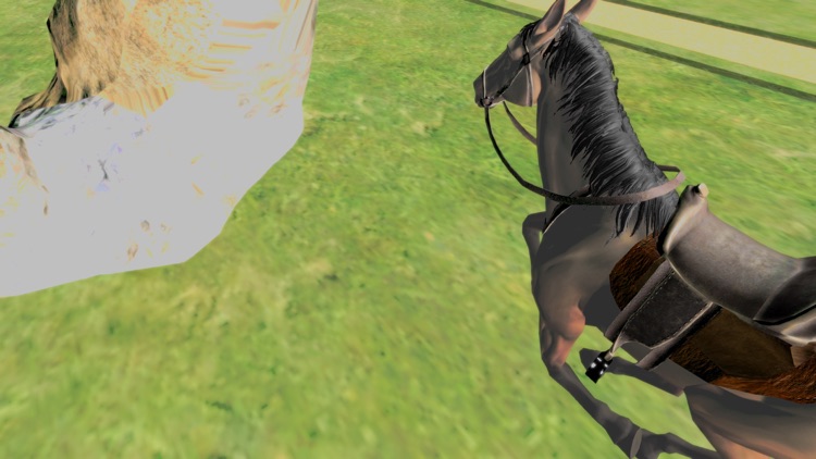 Horse Simulator 2017 screenshot-3