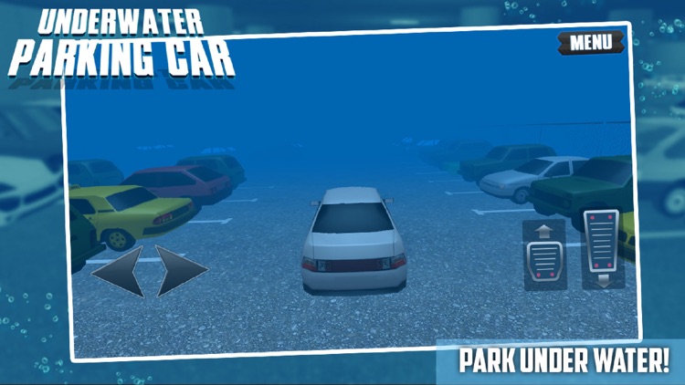 Underwater Parking Car