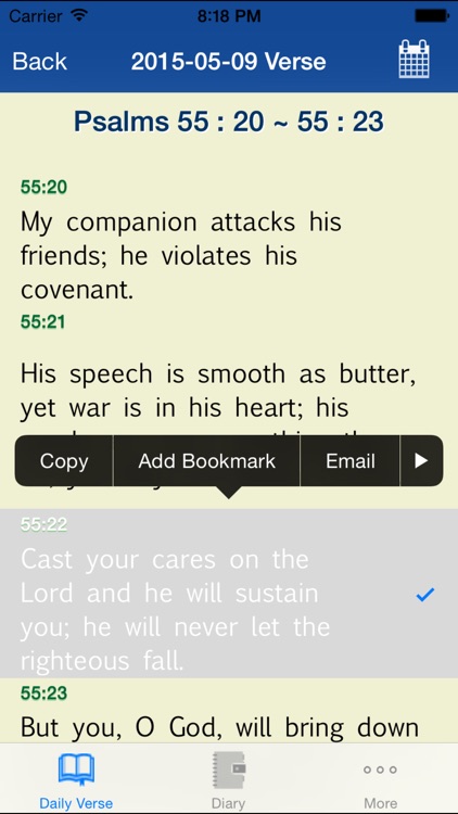 Bible+Diary