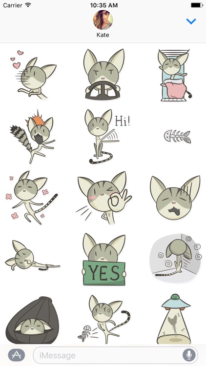 Skinny Cat Stickers