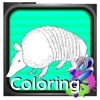 Coloring For Kid Armadillo Game
