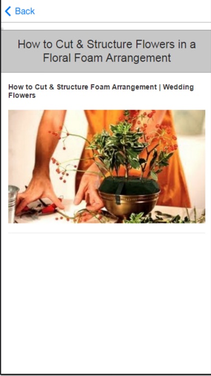How to Flower Arranging - Tips & Tricks screenshot-3