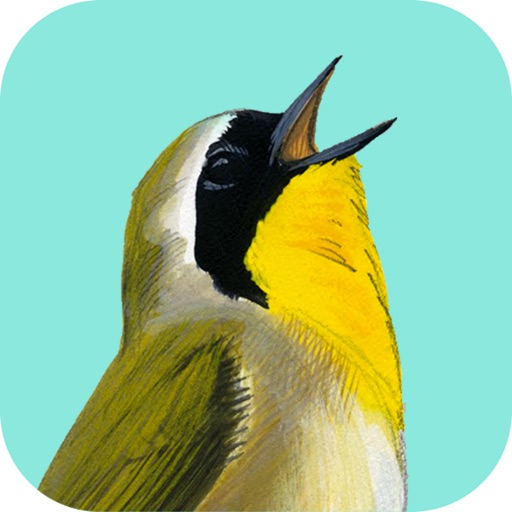 Song Sleuth: Auto Bird Song ID w/David Sibley Info