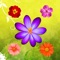 Icon Flower Beautiful Puzzle Match 3 Games