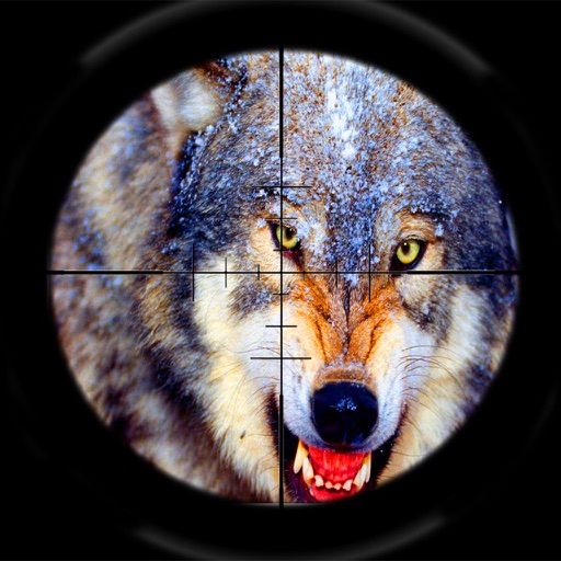 Wolf Hunting Winter Season Challenge SHooting