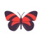 Butterflies Stickers - Wonderful Emoji