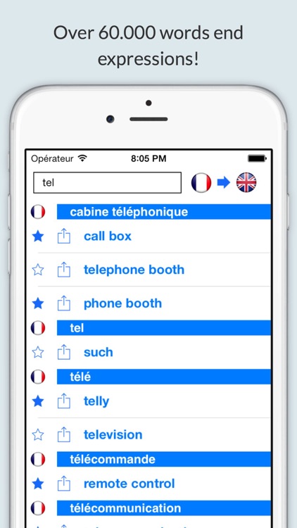 Offline English French Dictionary (Dictionnaire)