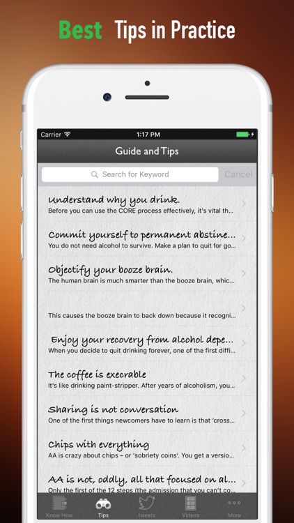 Alcoholics Anonymous 101-Beginner Tips and Guide screenshot-3