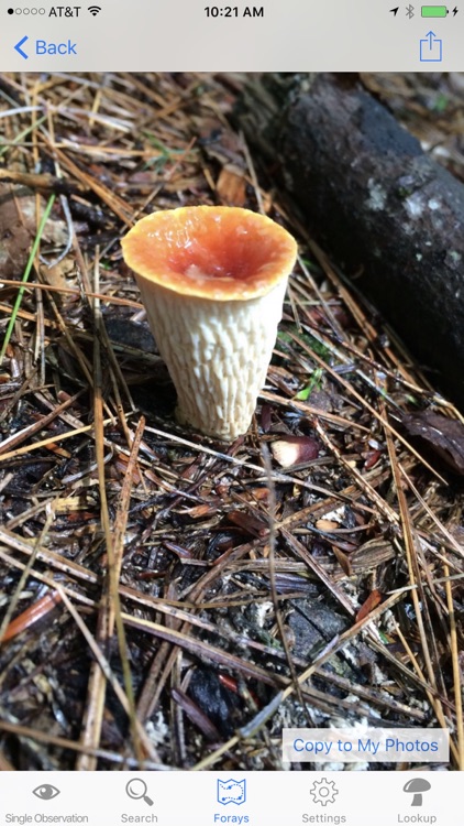 MushroomLog screenshot-3