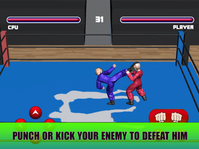 Face Fighter Physics-Classic Karate Face Kicker