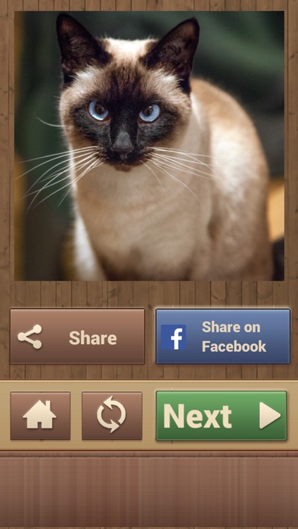 Cat Jigsaw Puzzles screenshot-4