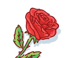 Make and send perfect Bouquet