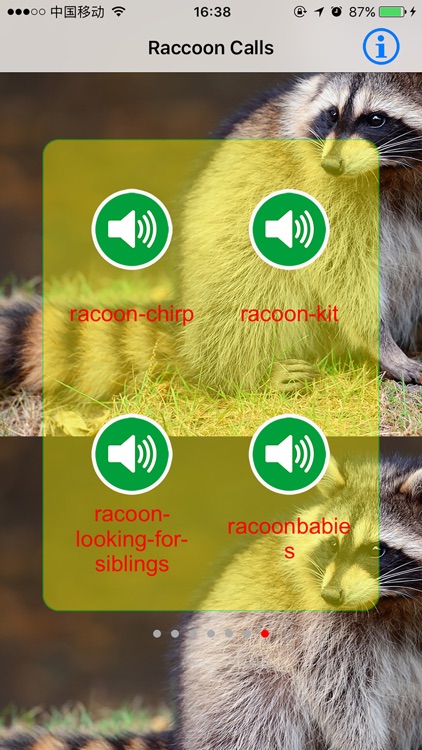 Raccoon Real Hunting Calls & Sounds screenshot-3