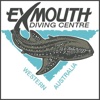 Exmouth Dive Centre HD