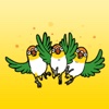 Funny Birds Stickers!