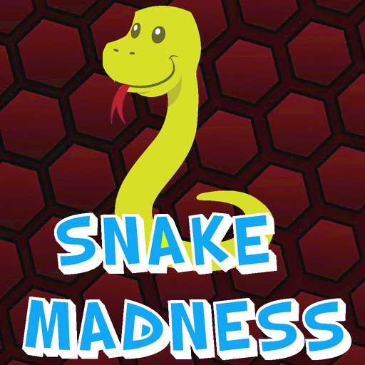 Snake Madness icon