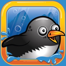 Activities of Splashy Penguin