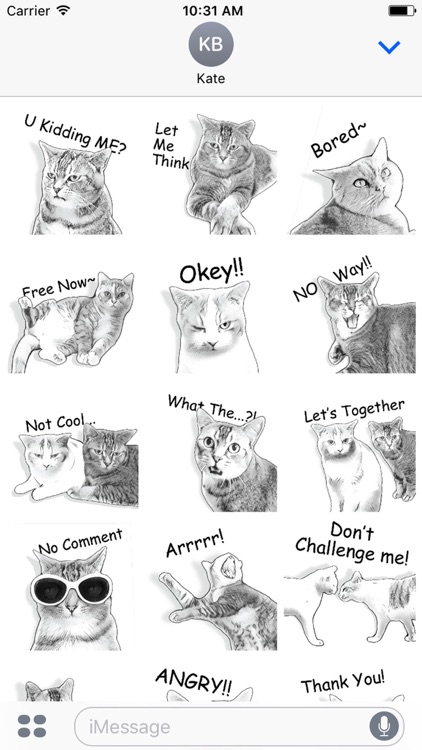 Gorma the Cat
