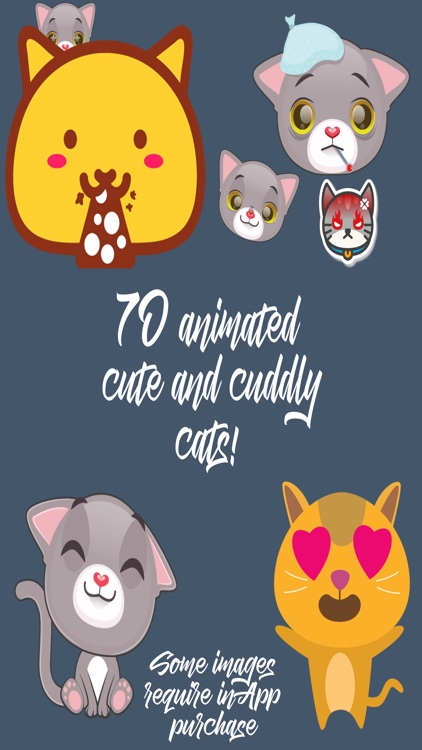 Large Animated Cat Emoji Pack