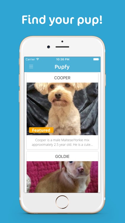 Pupfy - Find, Adopt & Rescue a Loyal Dog Companion
