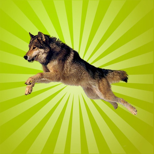 Real Dog Racing and Stunts iOS App