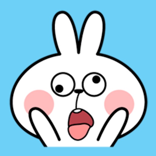 Cool Rabbit Face