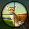 whitetail deer hunting Adventure 2017
