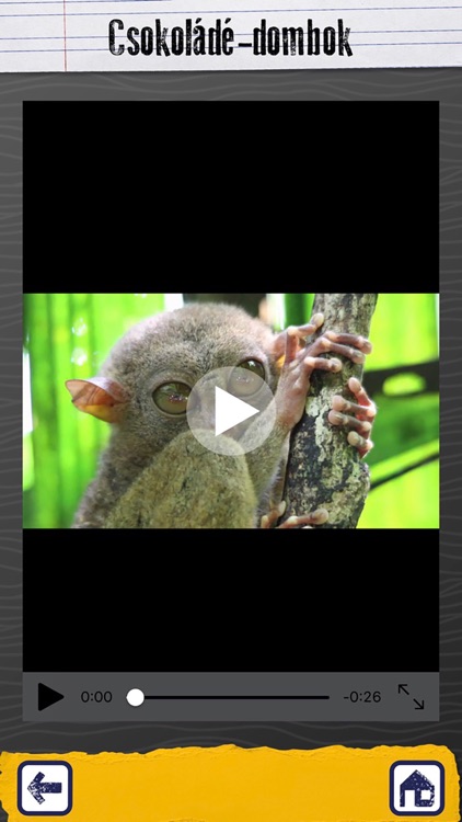 Rejtelymania screenshot-4