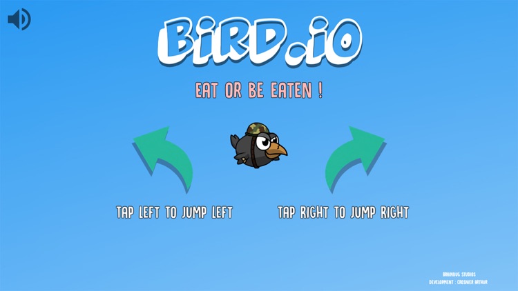 Bird.io
