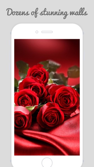 Trendy Roses - Best Collection of Rose Wallpapers(圖3)-速報App