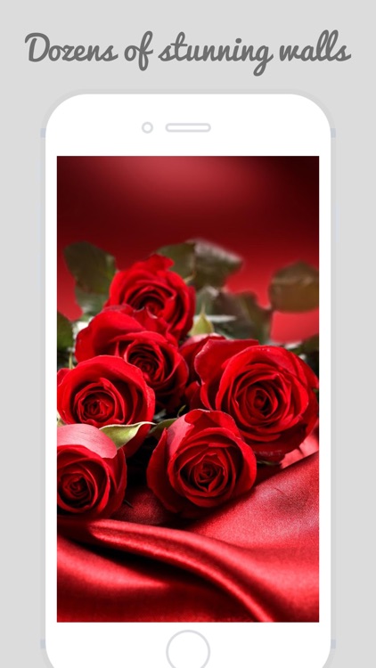 Trendy Roses - Best Collection of Rose Wallpapers