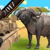 Buffalo Hunting Game 3D