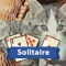 Solitaire Kittens