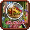 Find Hidden Object Game