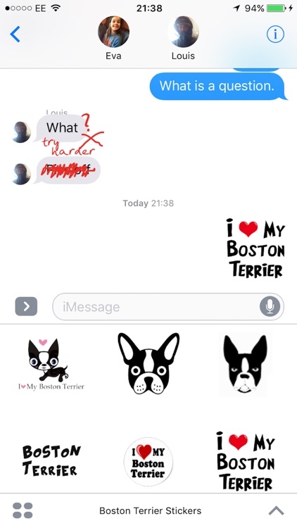 Boston Terrier Stickers