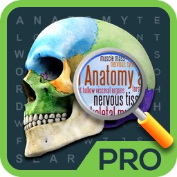 Anatomy Word Search Pro
