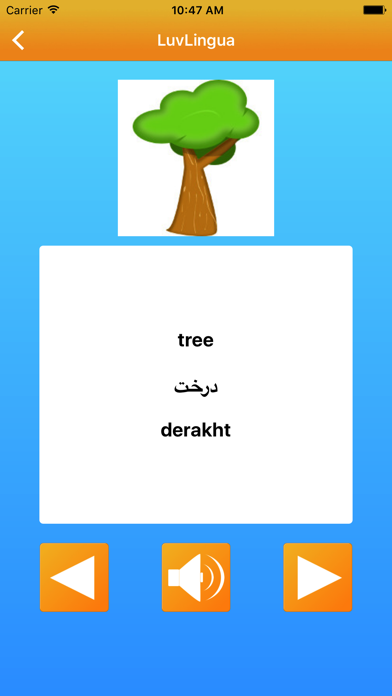 Learn Farsi Persian LuvLingua Pro Screenshot 4