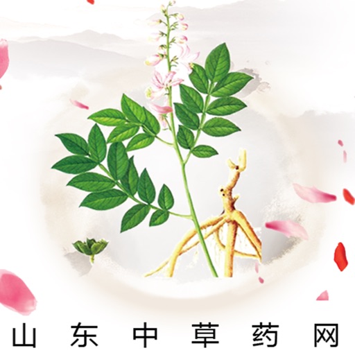 山东中草药网