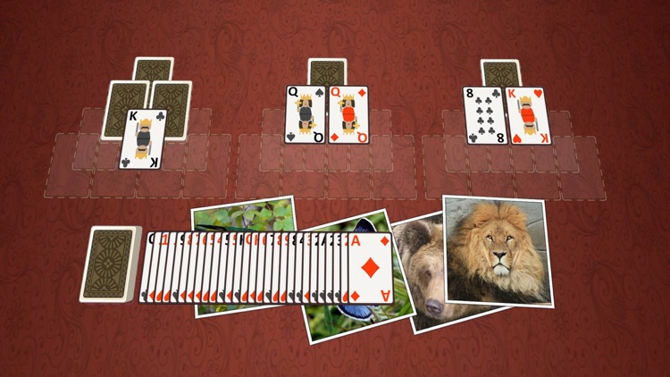 TriPeaks Wild Animals screenshot-3