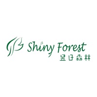 Shiny Forest HandMade Soap