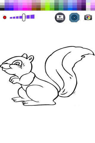 Color and Drawing Squirrels For Toodle screenshot 2