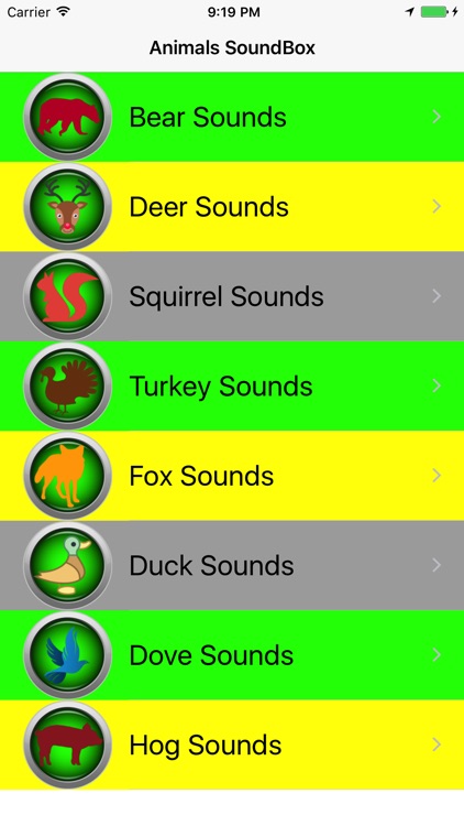 Sound Box for Animals