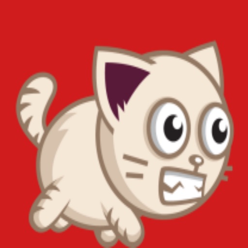 Super Cat Run Icon