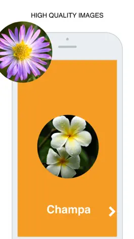 Game screenshot Flowers Flashcard for babies and preschool apk