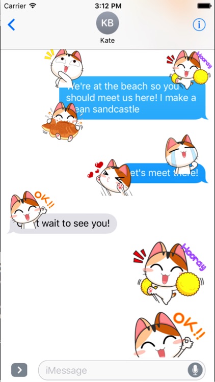 Lovely Kitty Cat vol 3