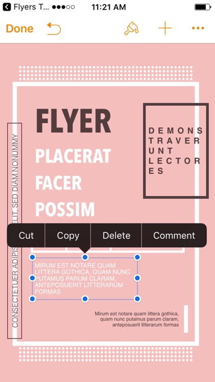 Flyers Templates for Pages screenshot-3