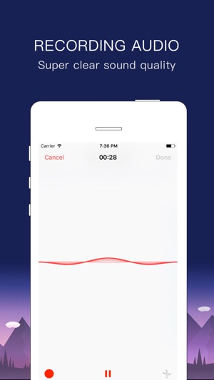 Voice Recorder Pro - Record Audio Memos