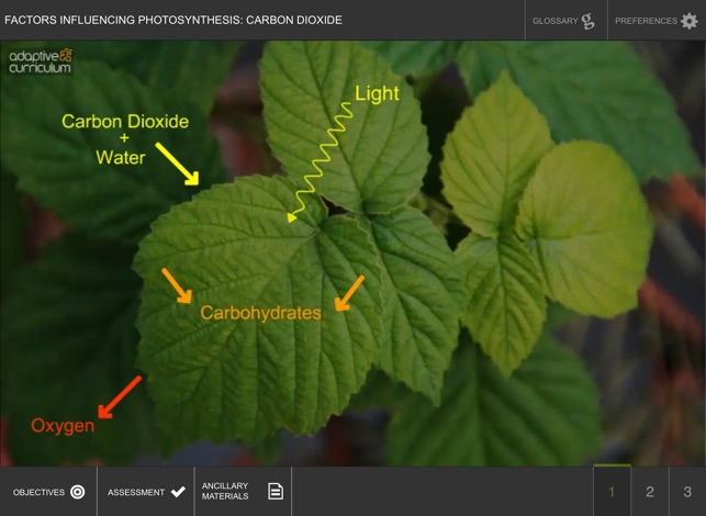 Factors Influencing Photosynthesis: Carbon Dioxide(圖2)-速報App