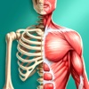 Discover Human Body Pro - Anatomy and Physiology