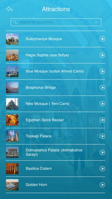 Grand Bazaar - Istanbul screenshot1